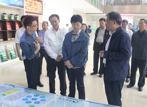 中華全國供銷合作總社領導在安義縣綠能農業發展公司調研